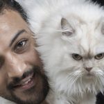 8-consejos-para-ser-un-buen-amante-animal