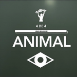 hello-seahorse-estrena-video-para-animal