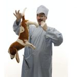 feliz-dia-veterinarios