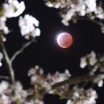 8-eventos-gratis-que-eclipsaran-la-ciudad