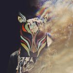 yo-trato-de-traducir-belleza-a-la-musica-slow-magic