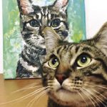 7-cosas-que-pasan-cuando-un-gato-llega-a-tu-vida