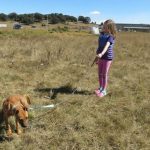 dona-un-paseo-a-un-perro-acompanado-de-tu-chilanguito