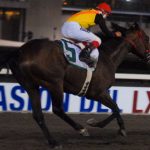 cuanto-te-cuesta-ir-a-ver-tu-deporte-favorito