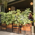 historias-de-felicidad