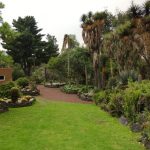 60-actividades-para-festejar-a-los-jardines-botanicos