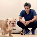 un-diputado-se-esta-colgando-de-mi-trabajo-con-los-animales-raul-julia-levy