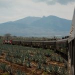 a-decir-salud-por-un-buen-viaje-tequilero