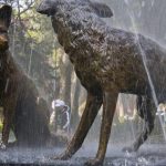 las-mejores-colonias-para-rentar-en-coyoacan