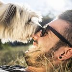 tratas-bien-a-tu-perro-tus-ligues-estan-asegurados