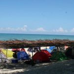 libera-tortuguitas-y-haz-rapel-en-una-cascada