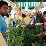 ve-al-mercado-del-trueque-en-la-magdalena-mixihuca