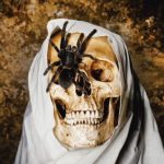 acampa-en-la-zona-el-miedo