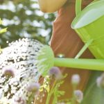 quieres-descuento-en-el-predial-adopta-un-area-verde