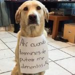 letreros-honestos-de-tus-mascotas