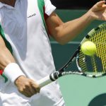 andy-roddick-y-james-blake-jugaran-torneo-de-tenis-en-la-ciudad