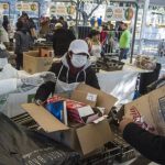 habra-trueque-este-domingo-en-el-bosque-de-tlalpan