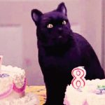 13-razones-por-las-que-amamos-a-salem