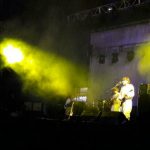 la-psicodelia-en-forma-animal