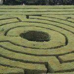 cinco-planes-para-armar-despues-de-un-truene