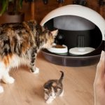 por-fin-tu-gato-se-librara-de-ti-gracias-a-este-gadget