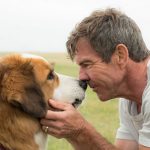 video-obligaron-a-perro-a-hacer-escena-de-una-pelicula