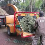 aca-los-centros-de-acopio-a-donde-puedes-llevar-tu-arbol-de-navidad