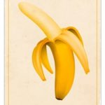 una-mirada-a-la-mente-de-charles-swan