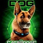 como-perros-y-gatos-2