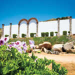 ricardo-arjona-metamorfosis