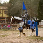 escapate-al-festival-de-hadas-y-duendes