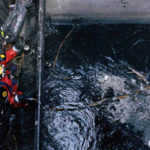 ambulante-5-proyecciones-gratis-para-entrarle-al-festival