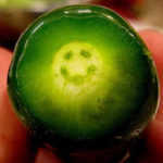 antoine-and-antoinette-antoine-et-antoinette-1947