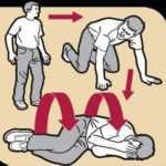 the-metropolitan-opera-the-enchanted-island-live