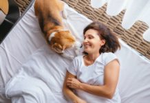 hoteles pet friendly