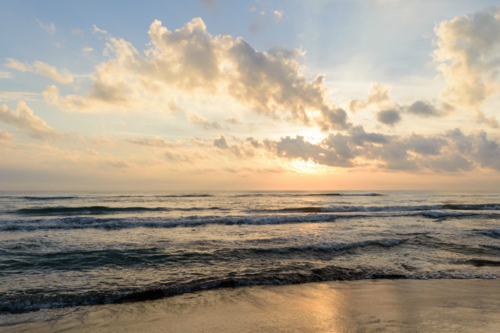 escápate-cumebre-tajín-2018