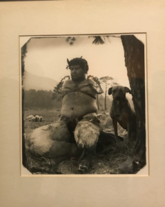 Híbridos en Bellas Artes