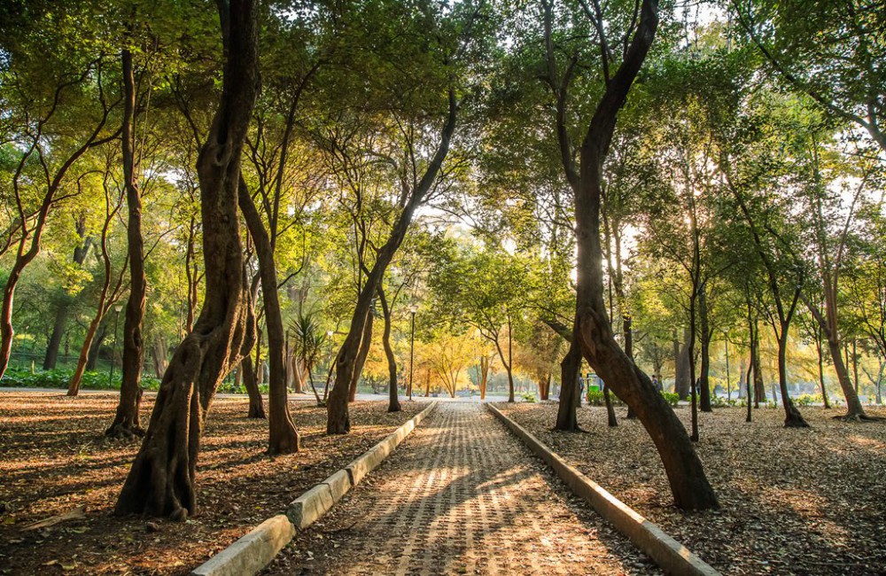 Con el proyecto de rehabilitación de Chapultepec buscan rescatar la tercera sección del bosque y remodelar sitios como el Parque Cri-Cri.