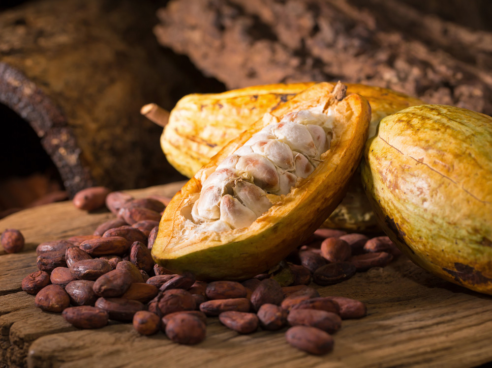 El cacao es el producto mexicano más reciente en tener denominación de origen