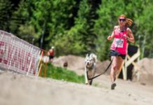 carrera y caminata con mascota