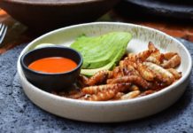 ¡A comer bichos! Siete restaurantes con menú especial de insectos 🐜🐛🦂🕷 RESTAURANTES PARA COMER INSECTOS EN LA CDMX
