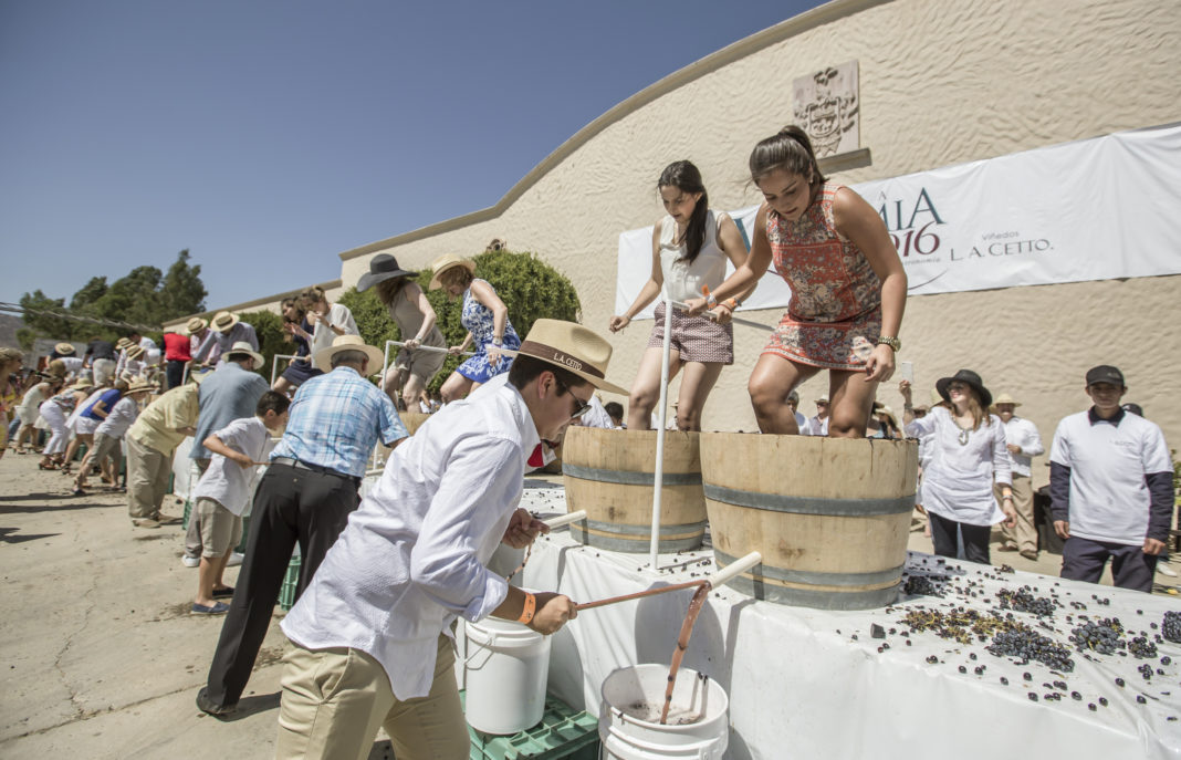 chilango La vendimia en nuestra tierra una fiesta del vino en Huixquilucan chilango La vendimia en nuestra tierra una fiesta del vino en Huixquilucan