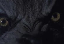 cacería de hombres lobo