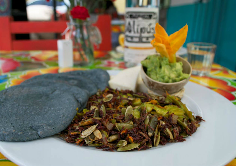 restaurantes oaxaqueños