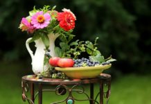 talleres para cuidar plantas