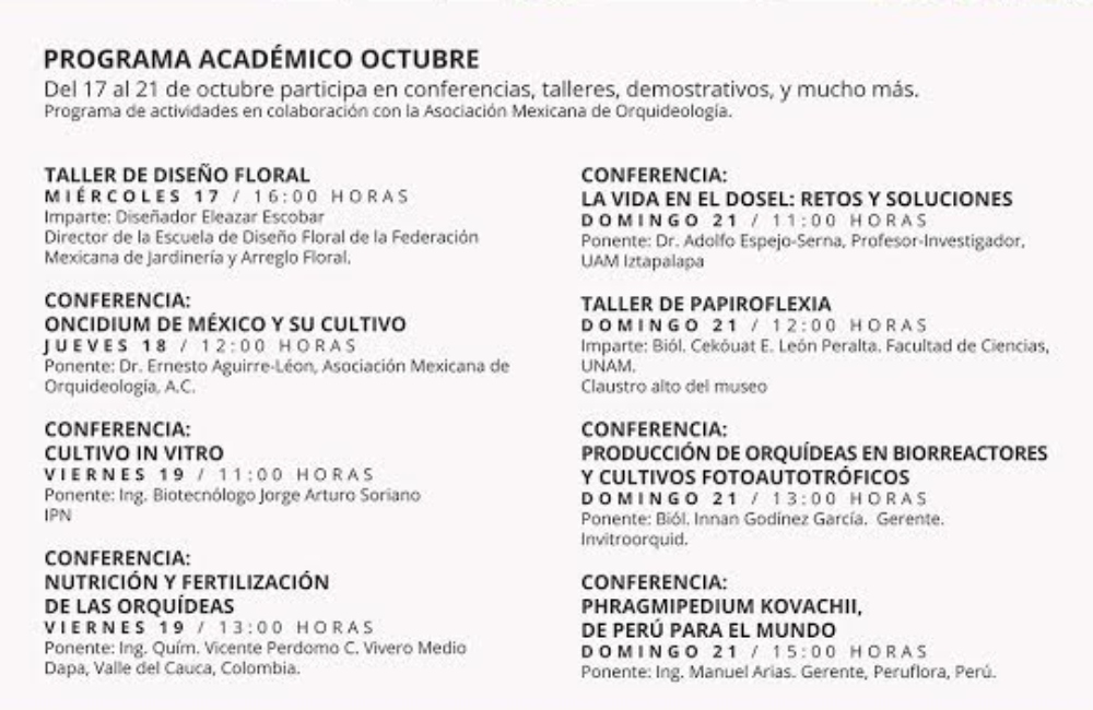 orquídeas de octubre