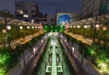 ¡Duerme en una cápsula japonesa! Conoce estos hoteles únicos en la CDMX Hoteles únicos en la CDMX