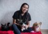 Gatos Pingos: un esfuerzo por ayudar a los felinos chilangos gatos pingos