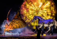 ¿Por qué debes ver Luzia, del Cirque du Soleil? Luzia en CDMX