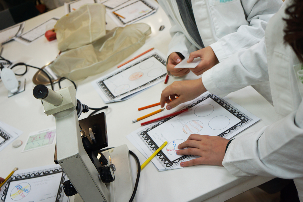 Colegio Ciudad de México plantel Polanco